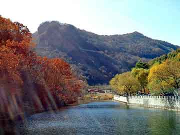揭秘彩票背后的秘密，探索管家婆四肖四码与港澳彩票开奖资料